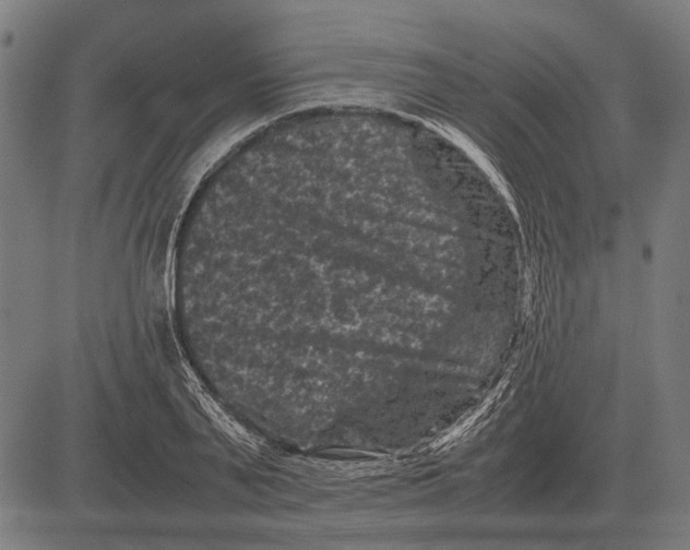 X0000081470791200702021831