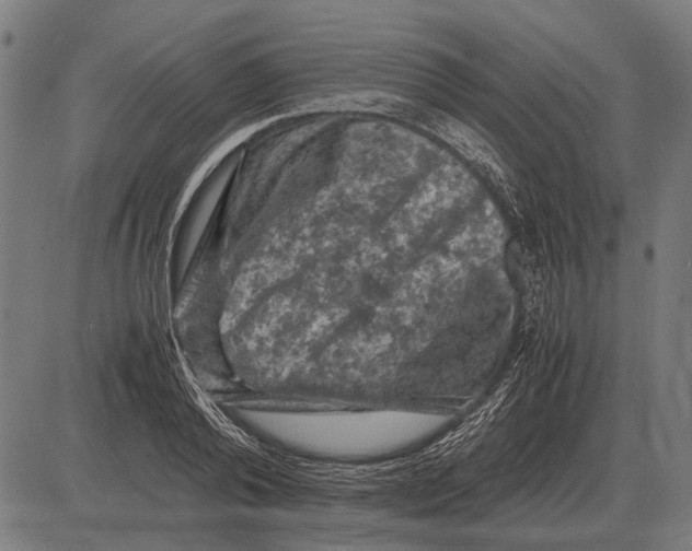 X0000081470792200702021831