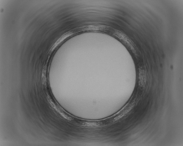 X0000081470794200702021831