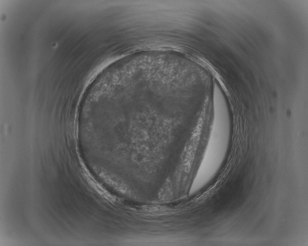 X0000081470795200702021831