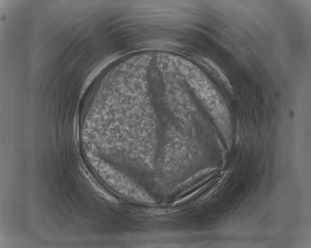 X0000081470796200702021831