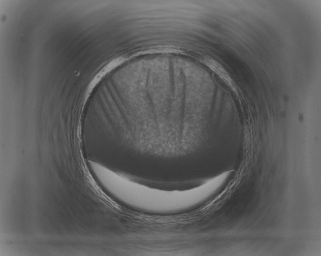 X0000081470797200702021831