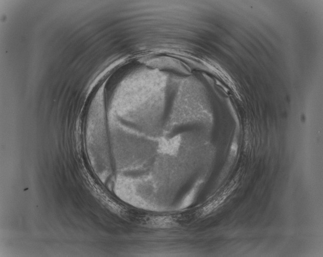 X0000081470798200702021831