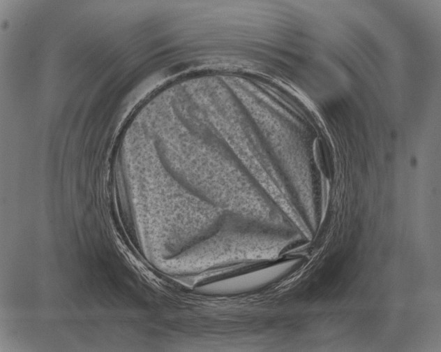 X0000081470799200702021831