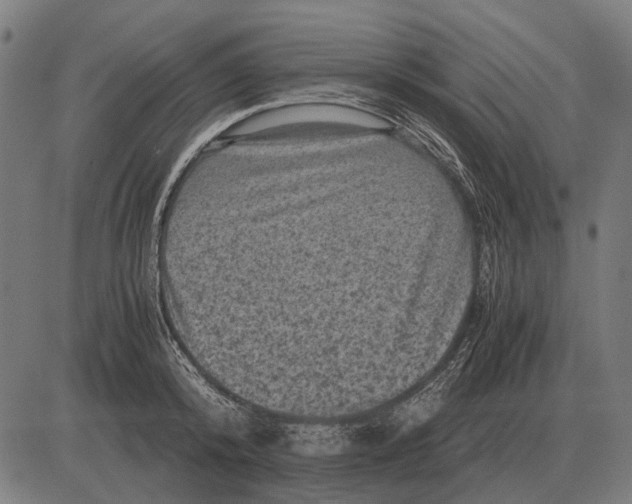 X0000081470800200702021831