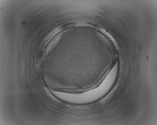 X0000081470801200702021831