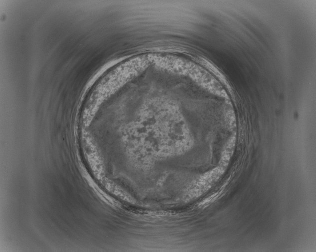 X0000081470803200702021831