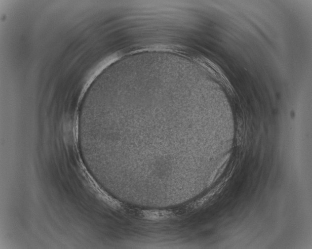 X0000081470804200702021831