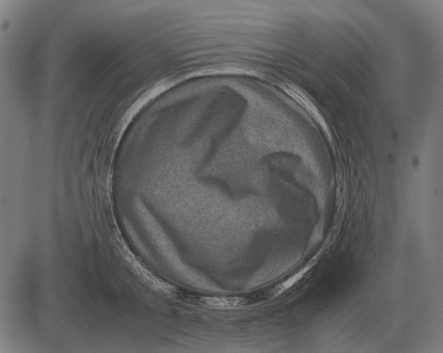 X0000081470805200702021831