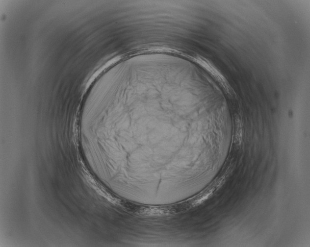 X0000081470806200702021831