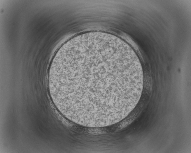 X0000081470807200702021831