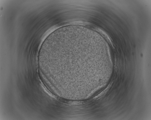 X0000081470808200702021831