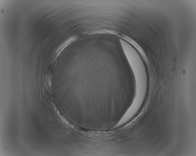 X0000081470809200702021831