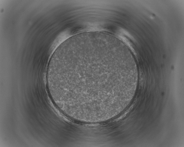 X0000081470810200702021831