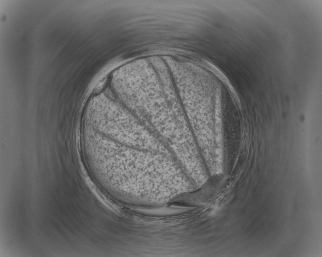 X0000081470811200702021831