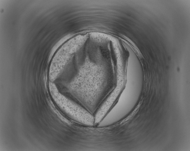 X0000081470812200702021831