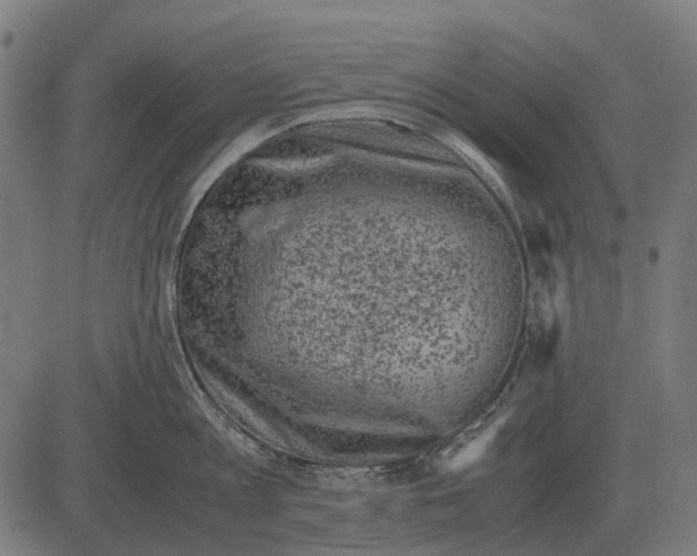 X0000081470813200702021831