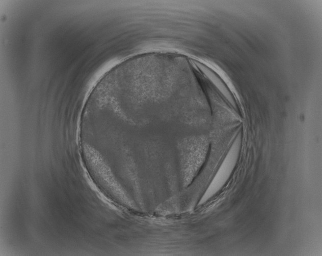 X0000081470815200702021831