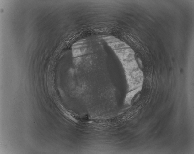 X0000081470817200702021830