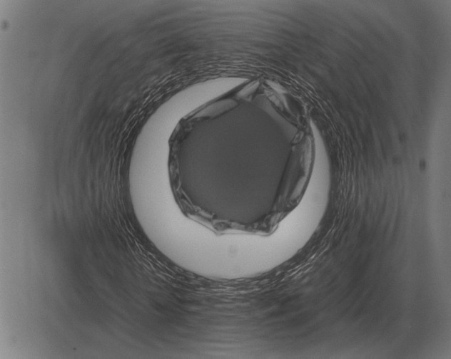 X0000081470818200702021830