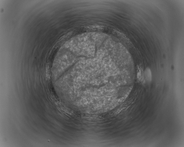 X0000081470819200702021830