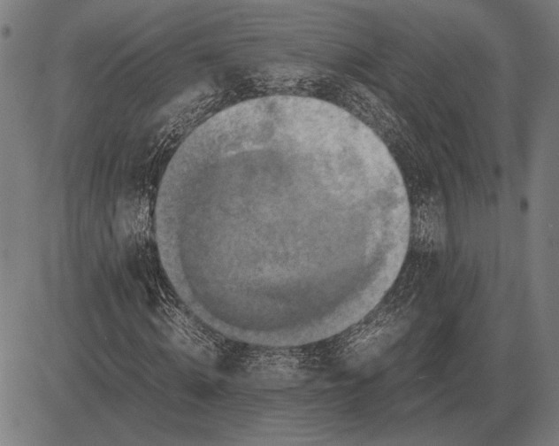 X0000081470820200702021830