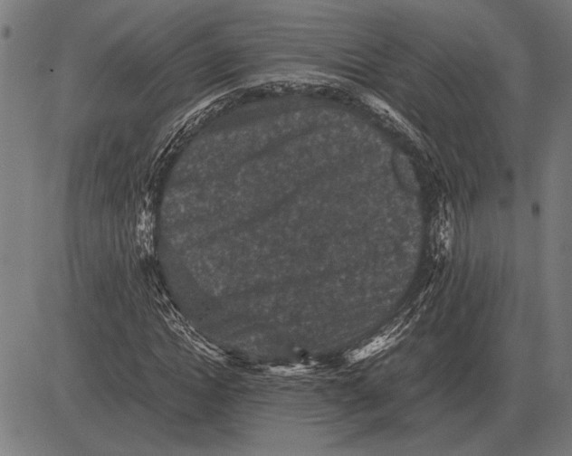 X0000081470822200702021830