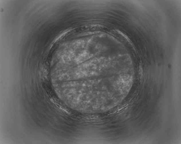 X0000081470823200702021830