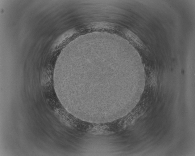 X0000081470824200702021830