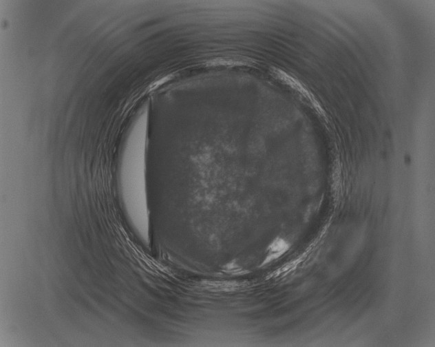 X0000081470825200702021830