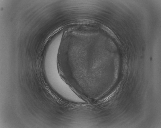 X0000081470826200702021830