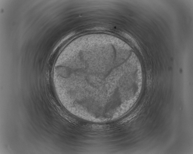 X0000081470827200702021830