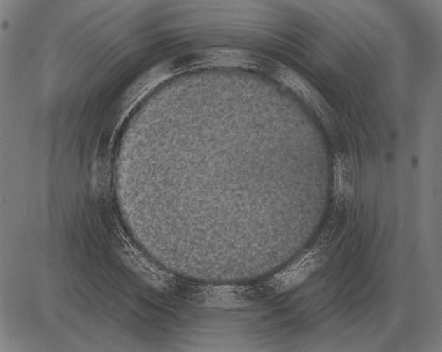 X0000081470828200702021830