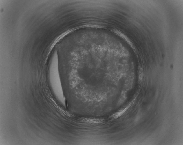 X0000081470829200702021830