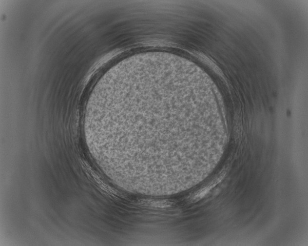 X0000081470831200702021830