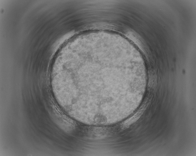 X0000081470832200702021830