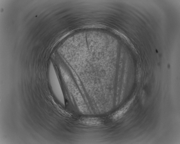 X0000081470833200702021830