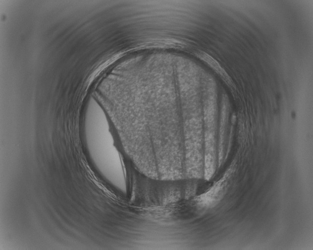 X0000081470834200702021830