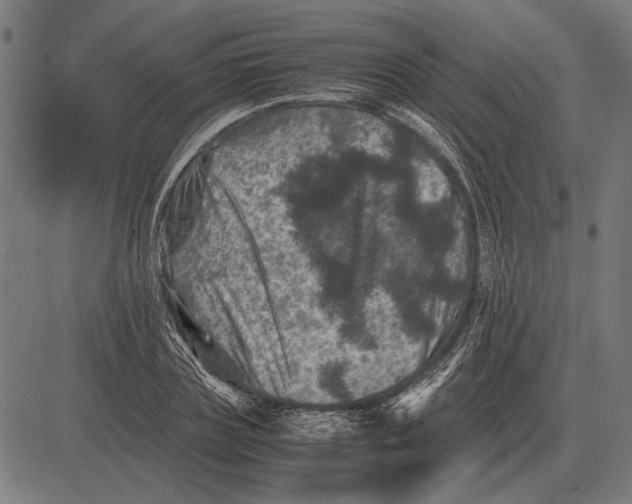 X0000081470835200702021830