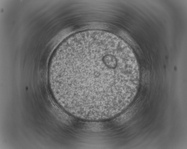 X0000081470836200702021830