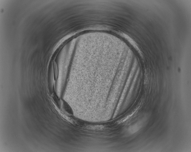 X0000081470837200702021830