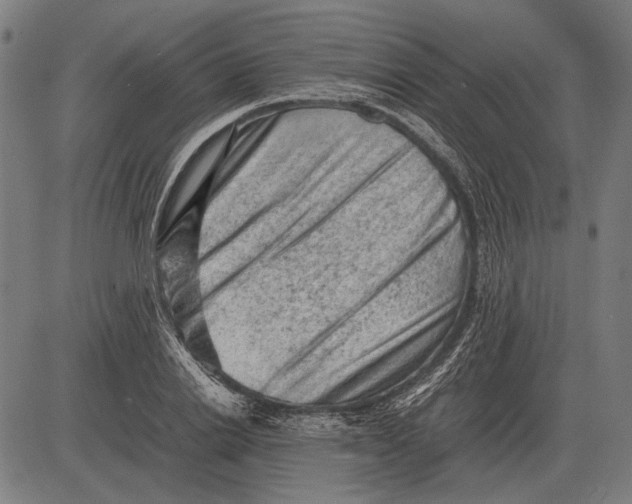 X0000081470838200702021830