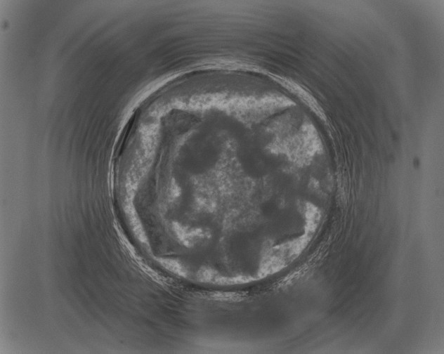 X0000081470839200702021830