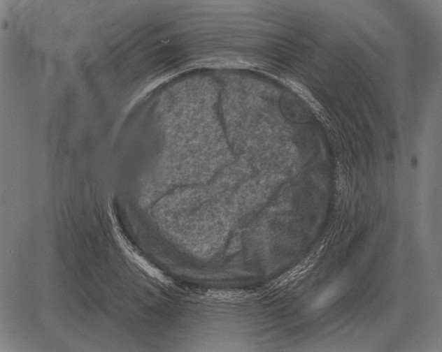 X0000081470840200702021830