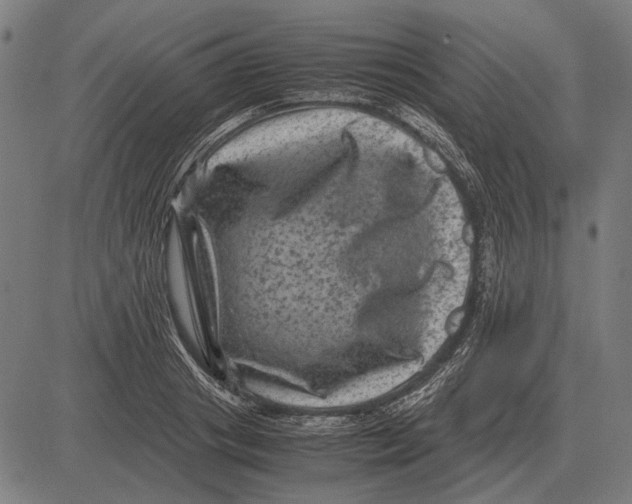 X0000081470841200702021830