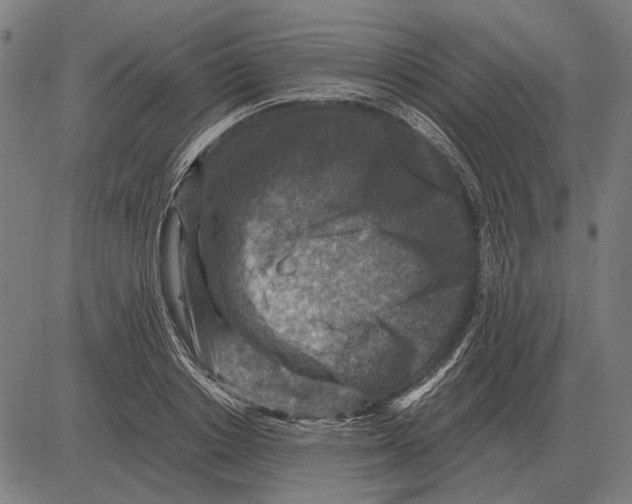 X0000081470842200702021830