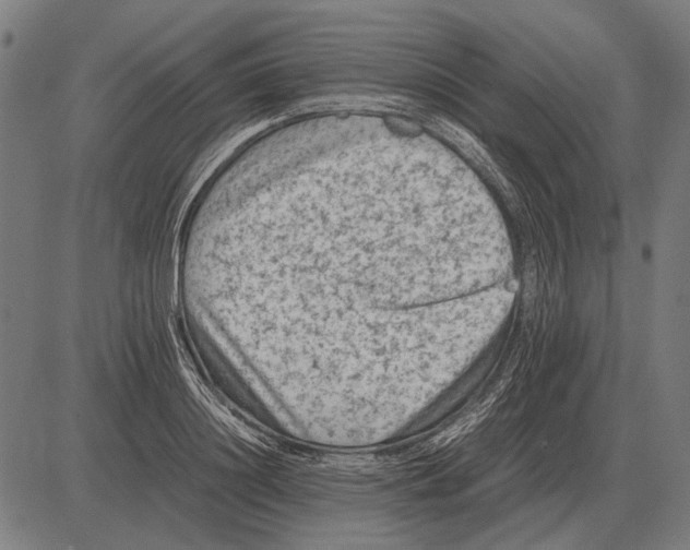 X0000081470844200702021830