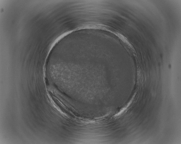 X0000081470846200702021830