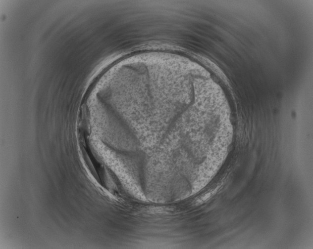 X0000081470847200702021830