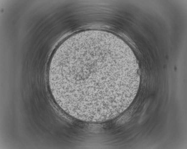 X0000081470848200702021830